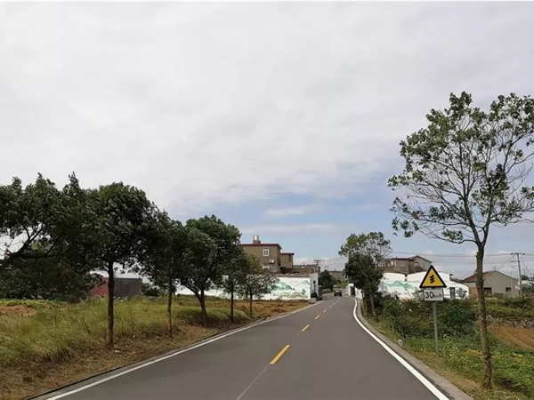 玉环杭州市政道路施工时间段深度剖析：平衡建设与城市生活